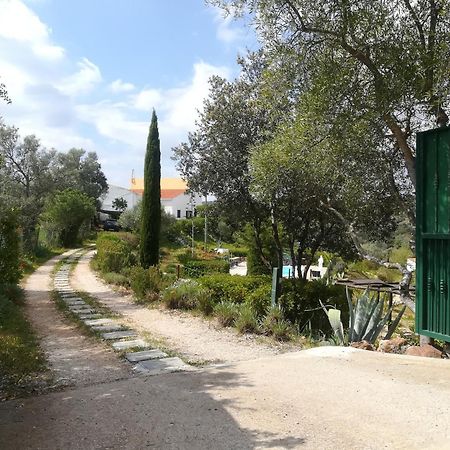 لول Alagoas Park المظهر الخارجي الصورة