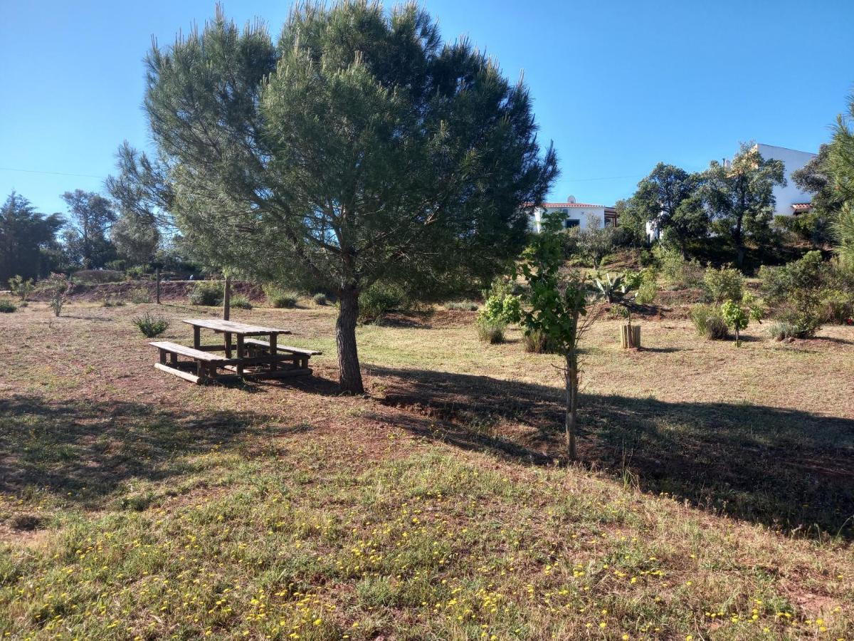 لول Alagoas Park المظهر الخارجي الصورة